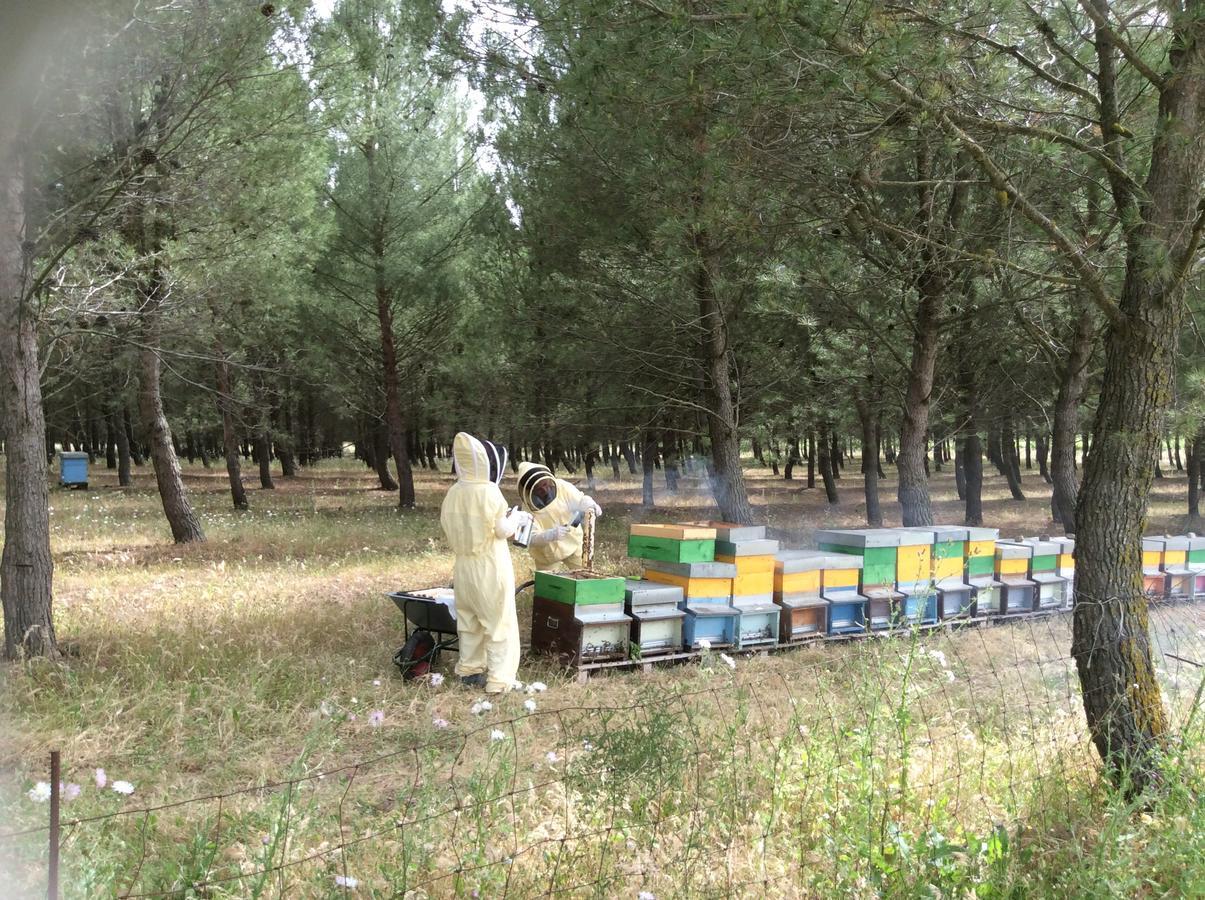 Perdaxius Agriturismo Gennemara B&B المظهر الخارجي الصورة