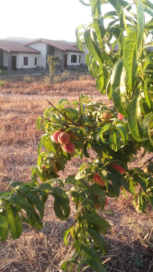 Perdaxius Agriturismo Gennemara B&B المظهر الخارجي الصورة